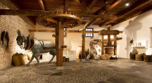 Il museo dell’Olivo e dell’Olio Lungarotti a Torgiano