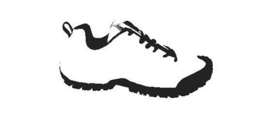 Figura 6.2. ChatGPT riconosce correttamente quest’immagine come una scarpa.