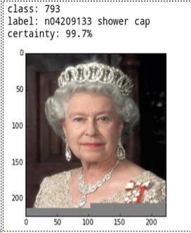 Figura 6.5. La Regina con la cuffia da doccia (da Evans 2015).